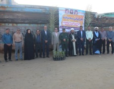 کاشت درخت حرا در ساحل بخش دلوار