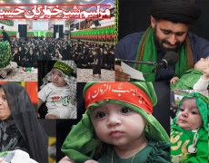 مراسم شیرخوارگان حسینی در دلوار برگزار شد+گزارش تصویری