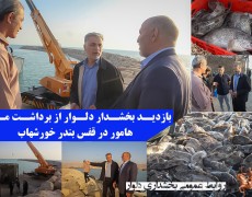 بازدید بخشدار دلوار از برداشت ماهی هامور در قفس بندر خورشهاب