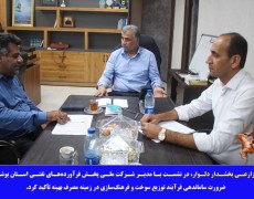 نشست بخشدار دلوار با مدیر شرکت ملی پخش فرآورده‌های نفتی بوشهر