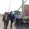 بازدید فرماندار تنگستان از اسکله و گمرکات بخش دلوار