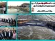 بازدید استاندار بوشهر از طرح نرسری میگو و ماهی دلیران در دلوار